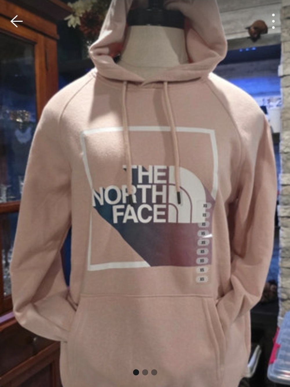 The North Face Women's Light Pink Logo Pullover Hoodie